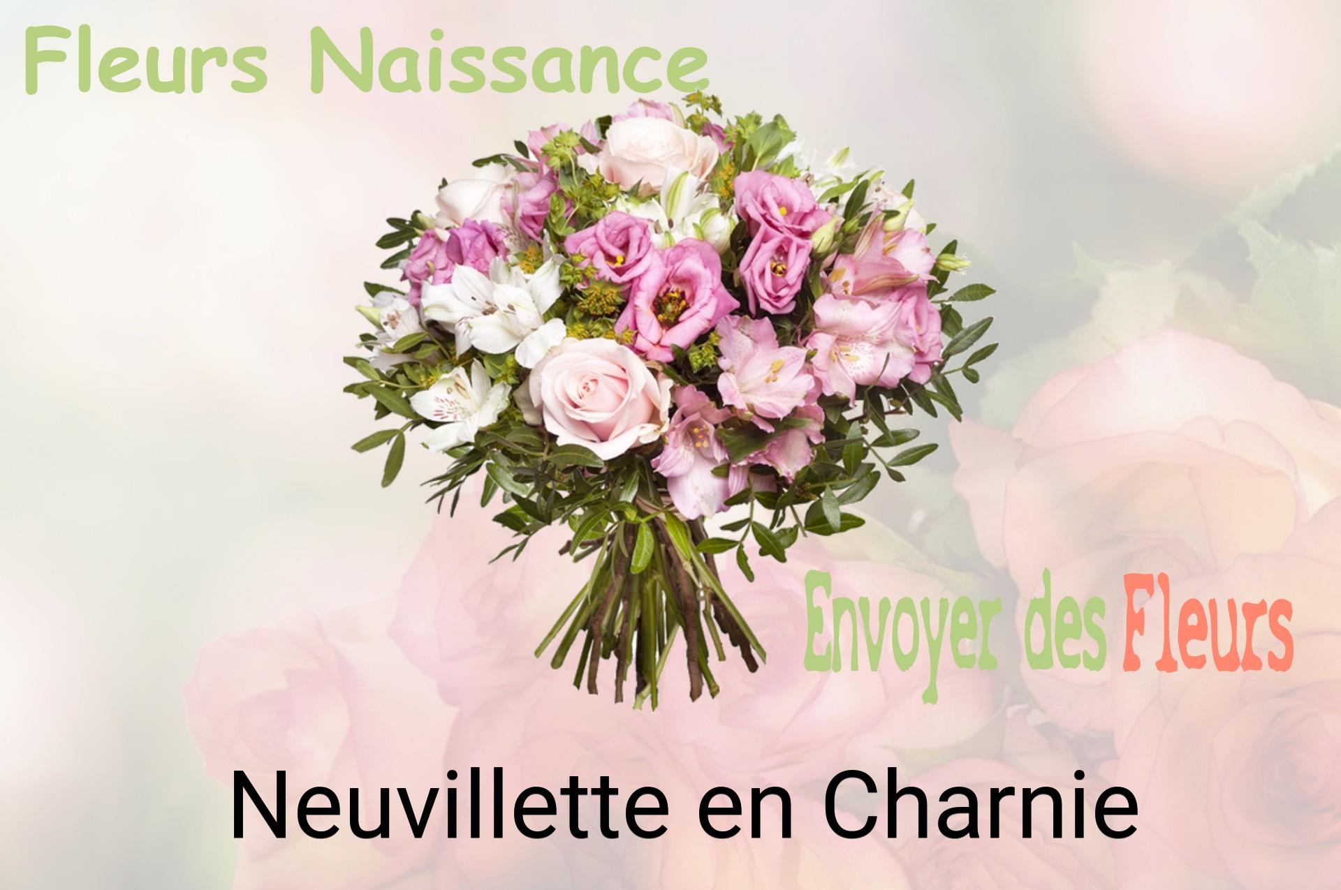 Bouquet de fleurs de naissance livré à Neuvillette-en-Charnie